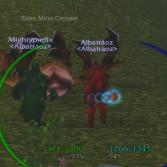 galeryimage